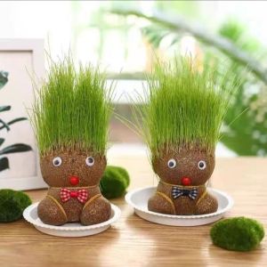 10pcs Create Own Hairstyle Easy to Grow Grass Flower Plant Head Doll