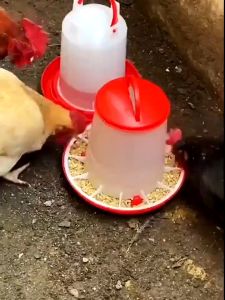 1.5kg Automatic Chicken Feeder&Drinker Chicken FeederSpecia l Feeding Equipment for Poultry Breeding
