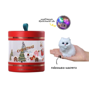 รวมตุ๊กตา น้องแมว น้องหมา น้องกระต่าย สีเสียง ตุ๊กตาน่ารัก จําลองแมวของเล่น ตกแต่งห้อง ตกแต่งรถ (แถมไฟให้ 1 เส้น)