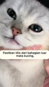 clear  Eye Drops Cleansing Care（60ml） Eye Washing solution Professional Eye Cleansing & Soothing