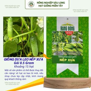 Hạt giống Dưa Leo Lai F1 Nếp Xưa (05g~15 hạt) trái thơm nếp trồng quanh năm