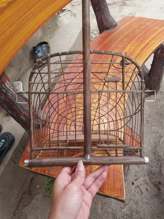 L%E1%BB%93ng%20b%E1%BA%ABy%20chim%20C%C3%A2y%20l%E1%BB%A5i%20-%20Image%203