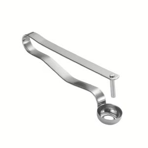 (304 STAINLESS STEEL) WJS Date Seed Remover Olive Seed Remover Cherry Fruit Seed Corer Pit Remover Tool Kitchen Hack Kitchen Tool Date Pitter Tool Pengorek Biji Kurma Bijik Jujube Buah Ceri Keluli Tahan Karat