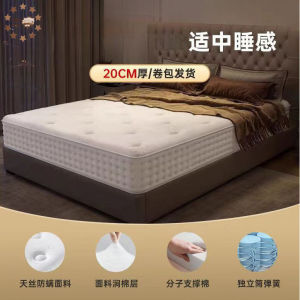 【⚡SG】Five-Star Ho Latex Mattress 1.8m Ultra-Soft Mattress Independent Spring 30cm Ultra-Thick Mattress