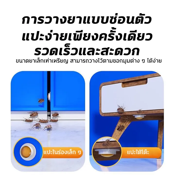 💥แมลงสาบตายทั้งรัง💥ที่กำจัดแมงสาบ ยาฆ่าแมลงสาบ เหยื่อแมลงสาบ เหยื่อ ...