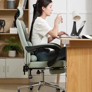 RabbitPunk Computer Chair High Back Office Chair Mesh Comfort Reclining Chair With Adjustable Headrest Footrest