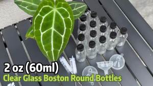 2 oz (60ml) 15 Pack Leak-Proof Clear Glass Boston Round Bottles with lids -Travel Containers for Ginger Shots Juice Whiskey Samples    W/Labels Funnels & Brushes