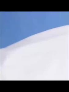 [ Summer New ][ Summer New ] Heavy Short Sleeve T Mens Summer New American Style Pure Cotton Trendy Base White Loose Half Sleeve T-Shirt [ Ultra-Thin Sweat-Permeable ][ Ultra-Thin Sweat-Permeable ]