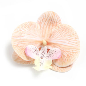 Artificial Butterfly Orchid Flower Head Wedding Party Home Flower Wall Background Decoration Silk Phalaenopsis Flowers DIY Headdress Floral Bouquet Gift Decor Simulation Flowers