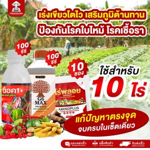 สูตรเร่งเขียวโตไว เสริมภูมิต้านทาน ป้องกันโรคใบไหม้ โรคเชื้อรา สำหรับ 10 ไร่ ด้วยจี6แมกซ์ น็อควันพลัส ไร่พลอย