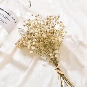 NCNC(okdeals01) 1pc Home Decor DIY Pressed Mini Decorative Small Dry Flower Dried Flowers Gypsophila Babysbreath Bouquet