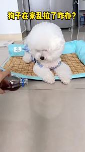 LZD Dog Urine Cleaning Supplies Dog Urine Pad Diapers Cleaning Dog Cat Absorbent Paper Urine Cleaning Quick-Drying Diaper Urine Absorbing Paper