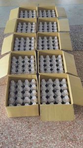 คอมแบบ ลูกสูบ CL0005 TG446963-02204D น้ำมันคอมเพรสเชอร์ Denso ND-Oil8 แท้ 250cc น้ำยาแอร์ R134A เด็นโซ่ 8 ติดรถ