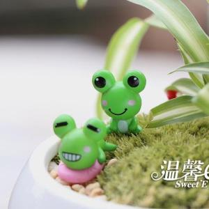 Mô hình tiểu cảnh ếch xanh trang trí sen đá xương rồng chậu cây mini charm slime