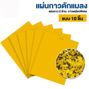 แผ่นกาวดักแมลง (สีเหลือง) กาวดักแมลงวัน มีกาวในตัว มีให้เลือกหลายขนาด แพ็คละ 50แผ่น กับดักแมลงกินผัก แมลงทำลายผลผลิต ดักแมลงศัตรูพืช กาวดัก
