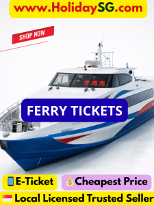 Singapore to Batam 2 way Ferry ticket - return ticket open pass