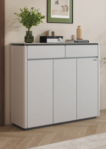 Modern Shoe Cabinet | High-Quality Shoe Rack Storage SG Local seller