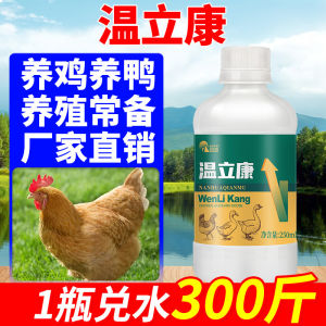 正品温立康鸡瘟流感冒禽用鸡药禽瘟立康养鸡鸭鹅发呆缩头没精神