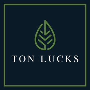 ผักแพว Vietnamese coriander สมุนไพร