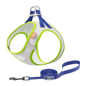 HamshMoc Anti-Pull Dog Harness And Leash Set Adjustable Breathable Pet Harness Durable Dog Lead Rope With Easy Control Handle For Small Medium Dogs
