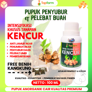 Pupuk Kencur Yang Bagus / Pupuk Buat Tanaman Kencur / Jenis Pupuk Kencur / Pupuk Khusus Tanaman Kencur / Pupuk Buah Kencur / Pupuk Daun Kencur / Pupuk Kencur Terbagus