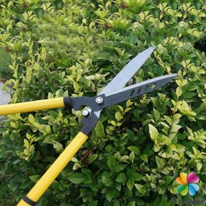 MD กรรไกรตัดแต่งพุ่มไม้ กรรไกรตัดหญ้า กรรไกรแต่งสวน Lawn shears