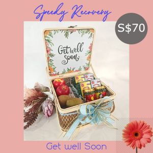 Get Well Soon Fruit Basket Gift Set with Bird Nest Eu Yan San Essence of Chicken Essence