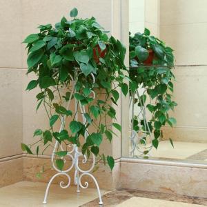 Hanging Plant Planter Rack Balcony Balcony Plant Rack European-Style Iron Flower Stand Single-Layer Pastoral Style