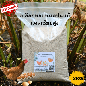 เปลือกหอยทะเลป่น แคลเซียมสูง 100% สำหรับไก่ไข่ บำรุงกระดูกและเพิ่มการผลิตไข่ ของแท้ บรรจุ 2 กิโลกรัม