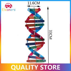 [Eleanor] Human Genes DNA Models Double Helix Science Toys Teaching Learning Education Toy