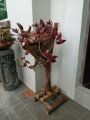 Coco Husk Plant Stand - Single. 