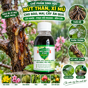Chế Phẩm Sinh Học Cho Mai Vàng Đào Cây Cảnh – Hỗ Trợ Nứt Thân Xì Mủ Thối Rễ Phấn Trắng Dùng Phun Cành & Tưới Gốc