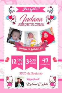 Promo Biodata Bayi Murah