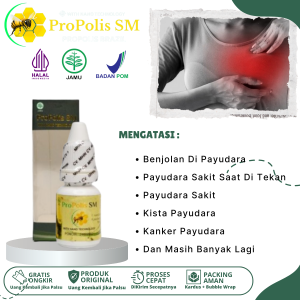 Obat Benjolan Di Payudara Obat Penghancur Benjolan Kista Di Payudara Obat Nyeri Payudara Obat Benjolan Tumor Payudara Benjolan Kanker Payudara Obat Pengempis Benjolan Di Payudara Obat Payudara Sakit Saat Di Tekan Obat Penghilang Benjolan Payudara