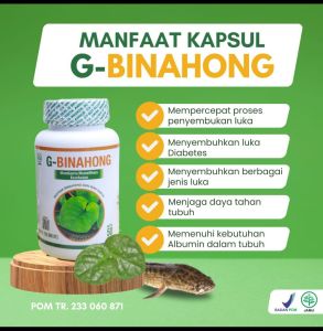 G Binahong Kapsul Ekstrak Binahong Ikan Gabus Percepat Penyembuhan Luka Atasi Diabetes Ampuh