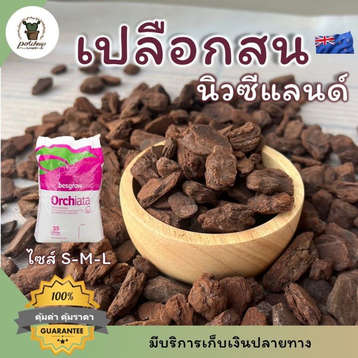 เปลือกสนนิวซีแลนด์ ออร์เชียต้า วัสดุปลูกกล้วยไม้ มอนสเตอร่า