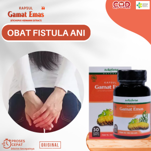 Obat Fistula Ani Obat Anus Luka Obat Ambeien Obat Benjolan Di Anus Obat bses Perianal Obat Pendarahan Dubur Obat Mengempeskan Ambeien Abses Anus Dengan Kapsul Gamat Emas
