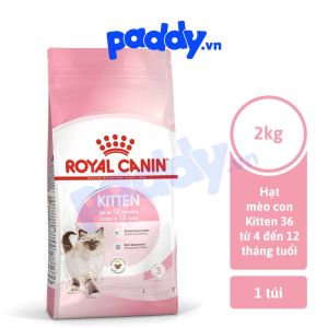 Hạt Cho Mèo Con Royal Canin Kitten 36