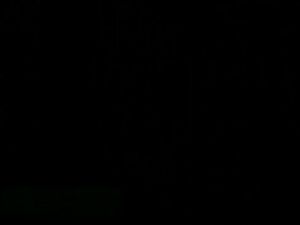 LZD  Genuine Student Practical Xinhua Dictionary Idiom Dictionary New English and Chinese Modern Chinese Primary and Secondary School Tool Book