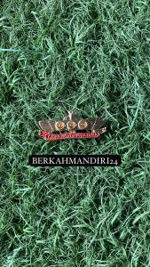 BREVET WING PDH BROS TNI AD WING KUDA KAVALERI / TANK