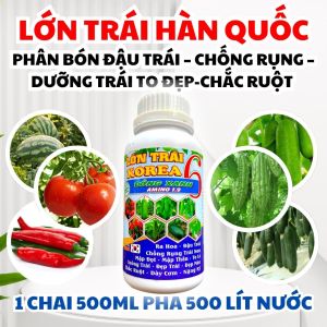 Phân Bón Đậu Trái – Chống Rụng – Dưỡng Trái To Đẹp