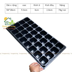 Khay vỉ ươm - Set 5 khay chữ nhật 21/32 ô vuông - dùng chứa chậu ươm trồng sen đá xương rồng cây cảnh lan con