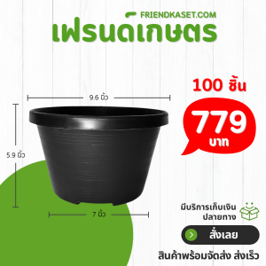 กระถาง กระถางทรงถ้วย กระถางเตี้ย ขนาด เบอร์ 10 9.5 นิ้ว สีดำ ยกมัด 100 ใบ