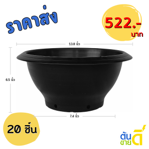 กระถาง อ่างบัว อ่างชวนชม มีรู ขนาด 13 นิ้ว สีดำ 20 ใบ ชิ้น อัน