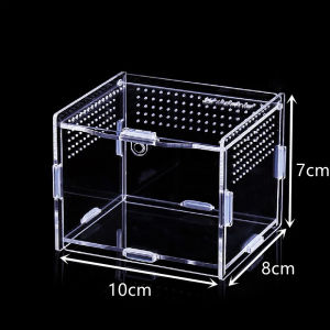 Transparent Acrylic Terrarium for Reptile and Amphibian Cricket Turtle Spider Snail Glass Shelter Terarium Terraria Gecko