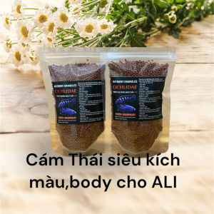 Cám Viên Thức Ăn Cá La Hán Hỗ Trợ Lên Đầu Tăng Màu Sáng Châu KING MASTER 45% ĐẠM