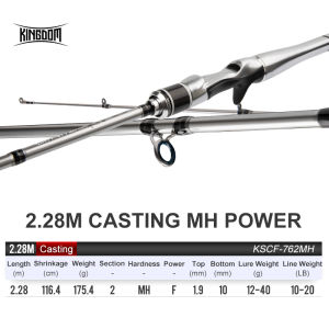 Kingdom SILVER NEEDLE Fishing Rods ultralight fast Spinning rod 2 section UL L ML M MH Fuji Ring Carbon Casting Travel Rod