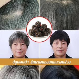 ลูกงาดำ อินทผาลัมแดง วอลนัท มัลเบอร์รี่ โวลเบอร์รี่ และลูกงาดำ ลูกงาดำไร้ซูโครส