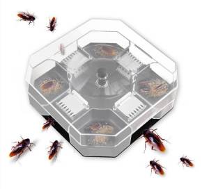 มีคูปองส่งฟรี ที่ดักแมลงสาบ กล่องดักแมลงสาบ กำจัดแมลงสาบ ถอดล้าง ถูกเป็นราคาล่าสุด