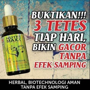 BMW NutriMaxx Power Extreme Vitamin Penggacor Burung Kicau dengan probiotik grade A aktif
